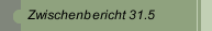 Zwischenbericht 31.5