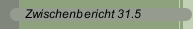 Zwischenbericht 31.5